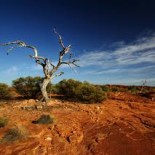 Austrialian drought by cosmosmagazine Austrialian drought by cosmosmagazine