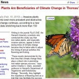 invasive plants invasive plants