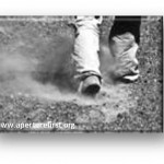 dust in the wind