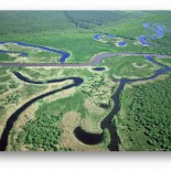 river patterns
