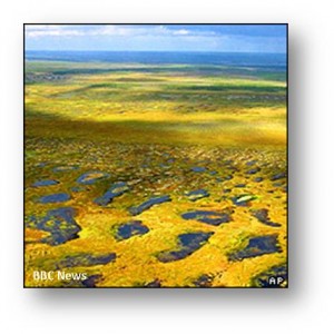 melting permafrost by BBC News