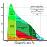 Biome Chart A qualitative chart of typical biome classification by average temperature and annual precipitation. Reproduced from Marietta College