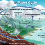 Water Cycle on Earth The Water Cycle on Earth. Graphic reproduced from USGS.