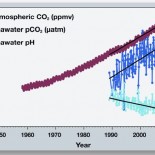 Correlation of carbon dioxide in the atmosphere, seawater, and seawater pH (acidity). Graphic reproduced from Mathaba.